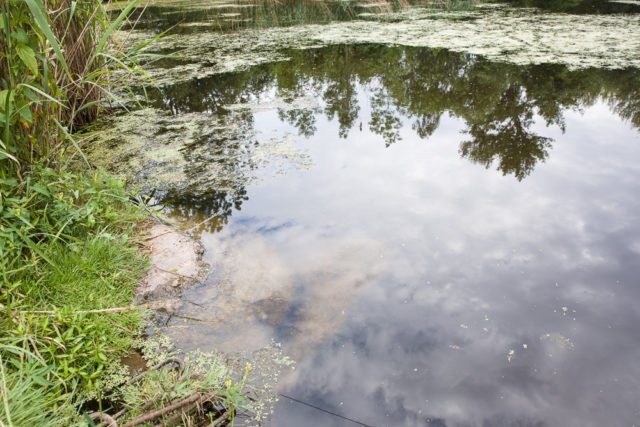 6 consejos básicos para hacer fotografías del agua: Sin utilizar un filtro polarizador.