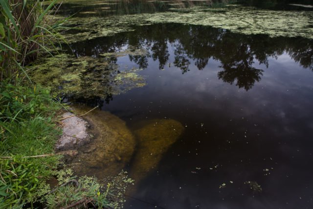 6 consejos básicos para hacer fotografías del agua: Con un filtro polarizador.